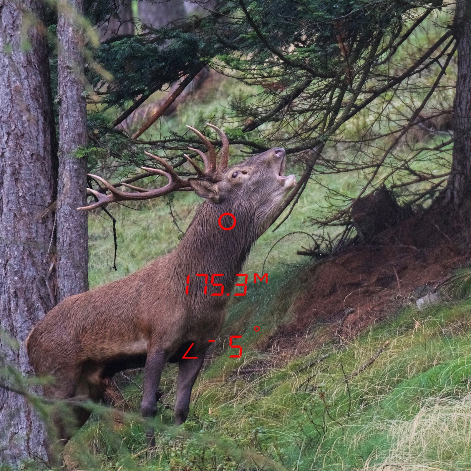 GPO RANGETRACKER™ 2000 6x20 OLED Laser-Entfernungsmesser GPO RANGETRACKER™ 2000 6x20 OLED Laser-Entfernungsmesser