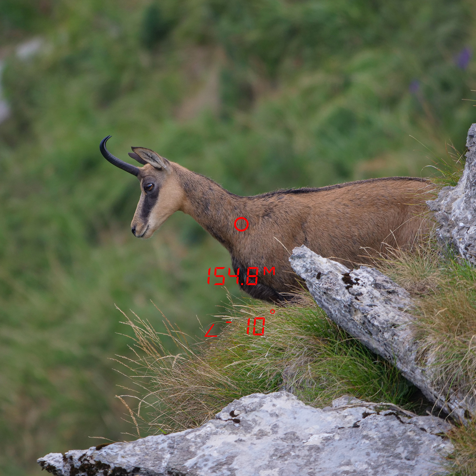 GPO RANGETRACKER™ 2000 6x20 OLED Laser-Entfernungsmesser GPO RANGETRACKER™ 2000 6x20 OLED Laser-Entfernungsmesser
