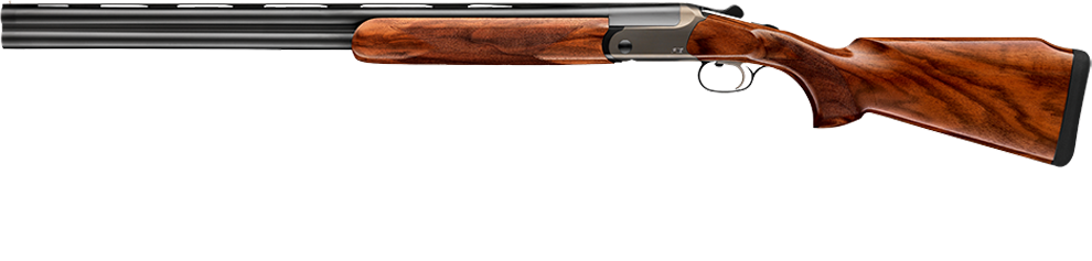 Blaser F16 Game Intuition